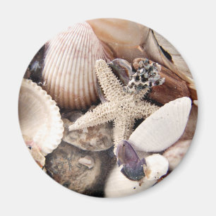 Sea Shells by the Shore Magnet