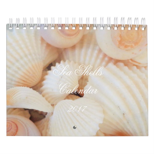 Sea Shells Calendar 2017 Exotic Tropical Romantic (Cover)