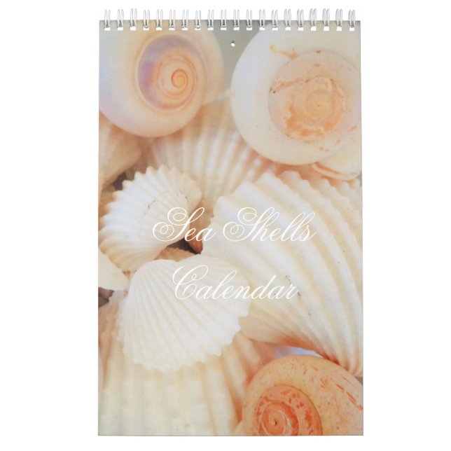 Sea Shells Calendar Exotic Tropical Romantic (Cover)