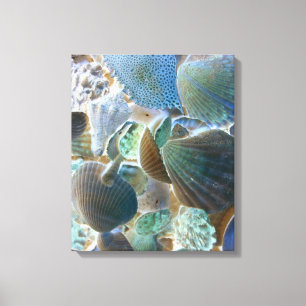 Sea Shells Canvas Print