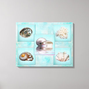 Sea Shells Canvas Print - 5 Different Images -Aqua