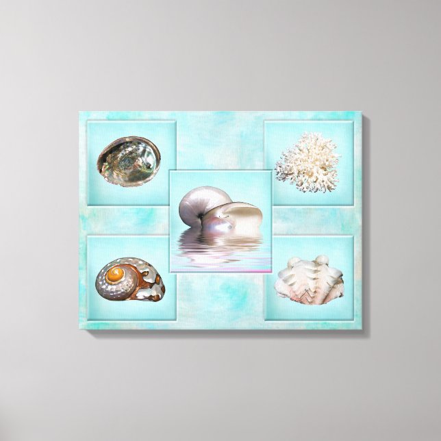 Sea Shells Canvas Print - 5 Different Images -Aqua (Front)