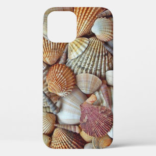Sea Shells iPhone 12 Case