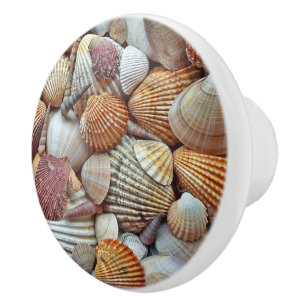 Sea Shells Ceramic Knob