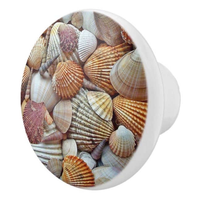 Sea Shells Ceramic Knob (Right)