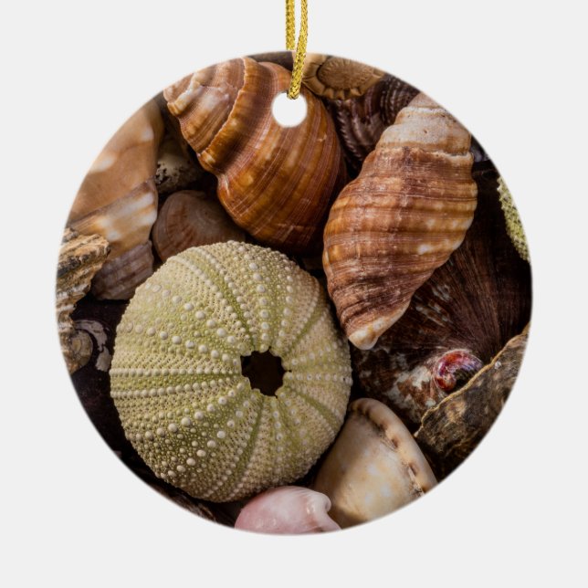 Sea Shells Ceramic Tree Decoration (Front)