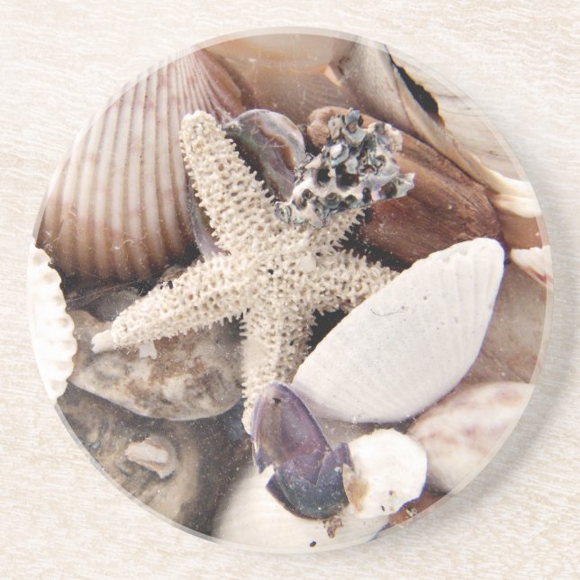 Sea Shells Coaster (Front)