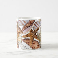 Sea shells