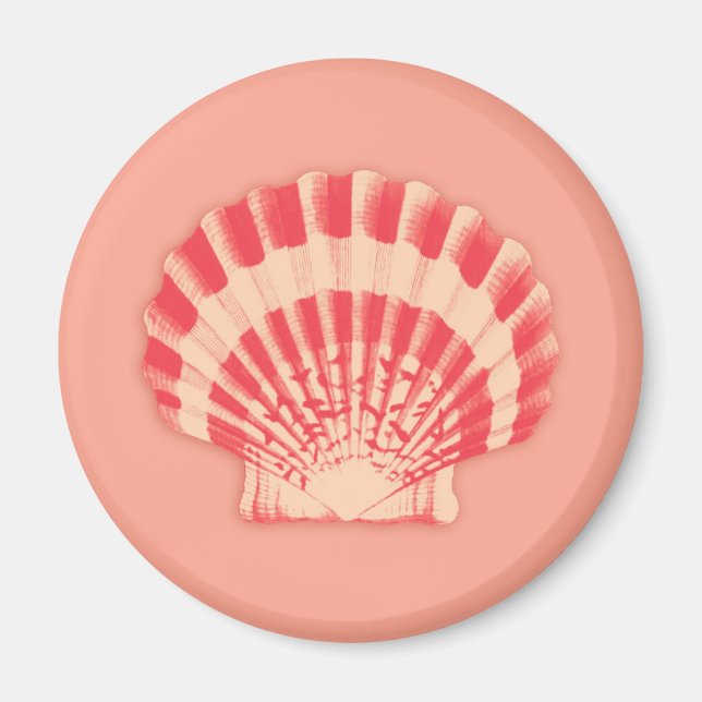 Sea shells - coral and peach magnet (Front)