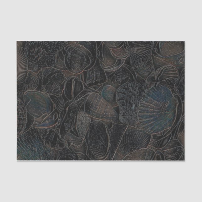 Sea Shells Dark Teal Black Ocean Beach Art Tissue Paper (Front)