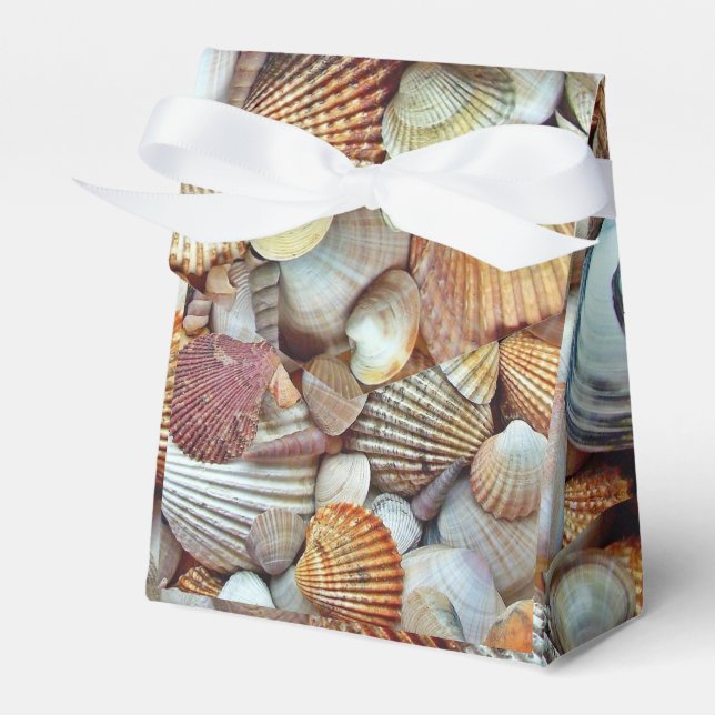 Sea Shells Favour Box (Front Side)