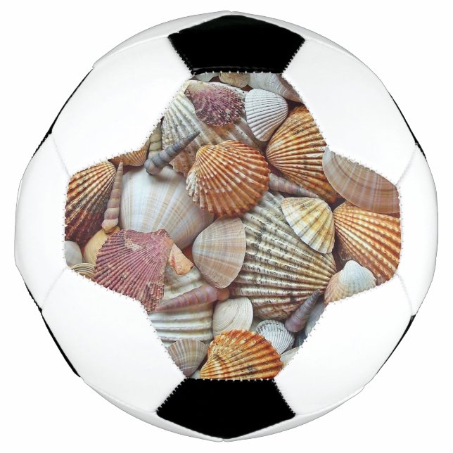 Sea Shells Football (Front)
