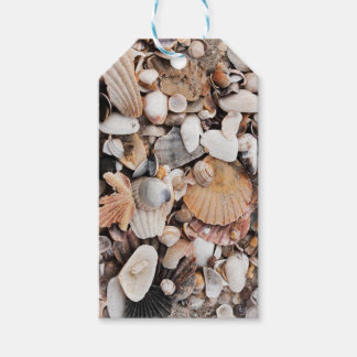 Sea shells gift tag