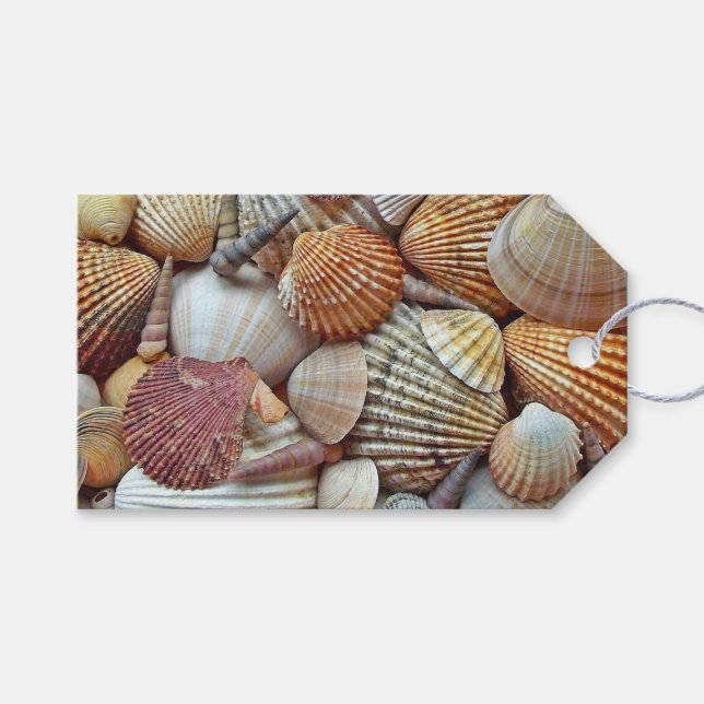 Sea Shells Gift Tags (Front (Horizontal))