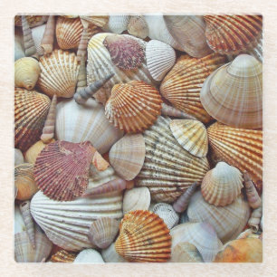 Sea Shells Glass Coaster