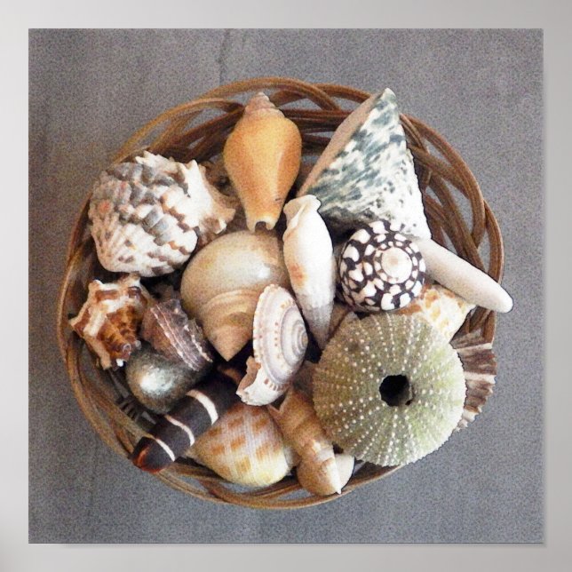 Sea Shells in a Basket Poster (Front)