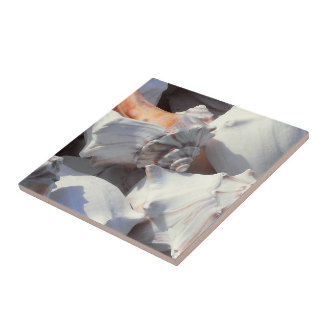 Sea Shells in sunlight and shadow Tile (Side)