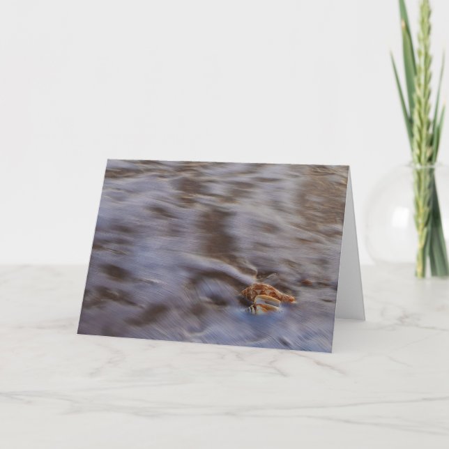 Sea Shells in Surf Greeting Card (Front)
