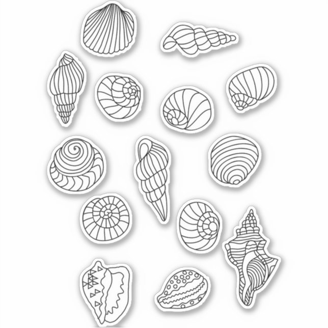Sea Shells Line Art Drawing (Front)