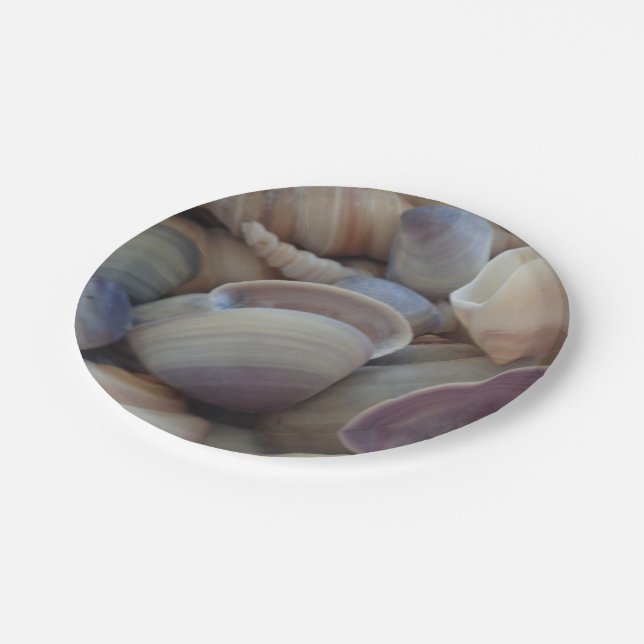 Sea Shells Love, Summer Beach Picnic, Paper Plate (Angled)