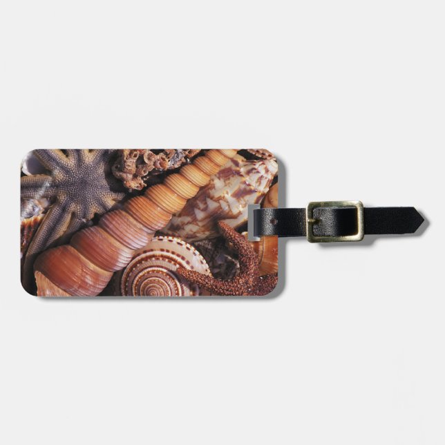 Sea shells luggage tag (Front Horizontal)