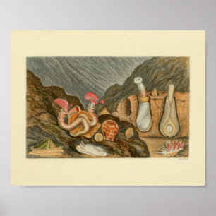 Sea Shells Marine Tubes Colour Art Print