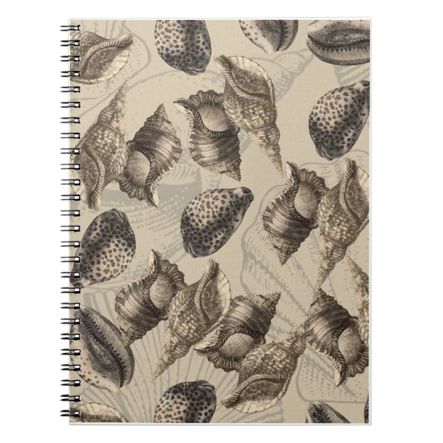 Sea Shells Notebook (Front)