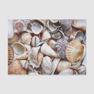 Sea Shells Ocean Beach Beautiful Decoupage Tissue Paper