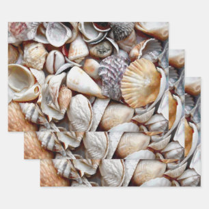Sea Shells Ocean Beach Beautiful Decoupage Wrapping Paper Sheet