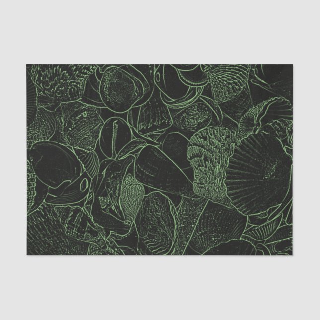 Sea Shells Ocean Beach Green Black Sketch Tissue Paper (Front)