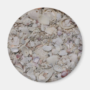 Sea shells Of sanibel Magnet