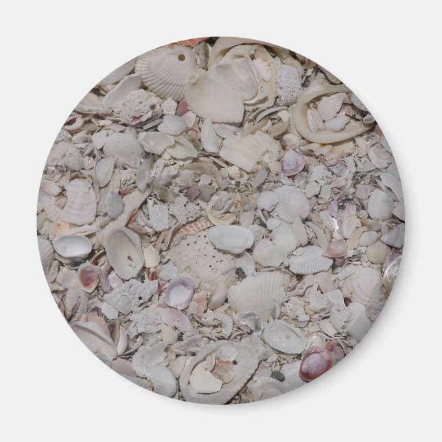 Sea shells Of sanibel Magnet (Front)