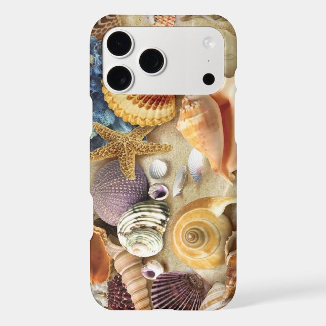 Sea shells on beach (Back)