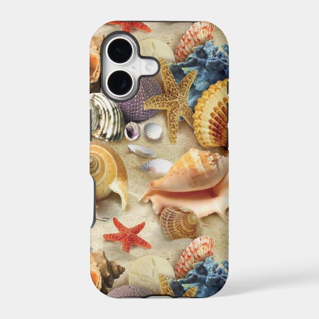 Sea shells on beach (Back)