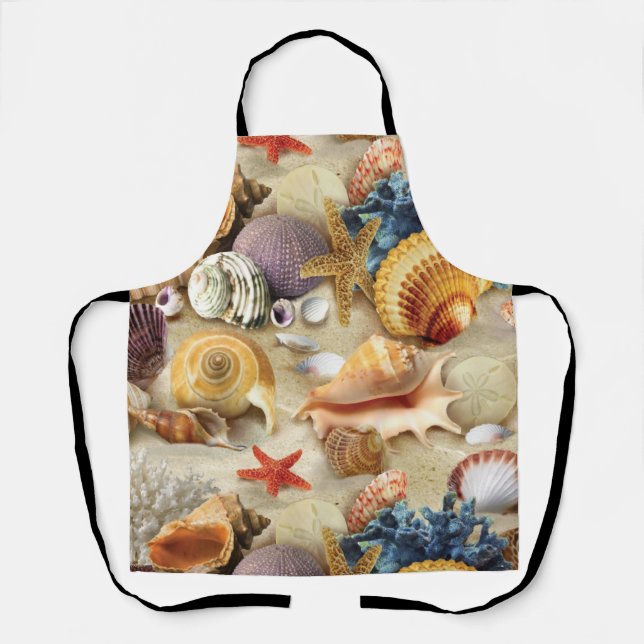 Sea shells on beach apron (Front)