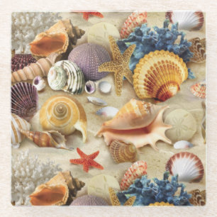 Sea shells on beach glass coaster