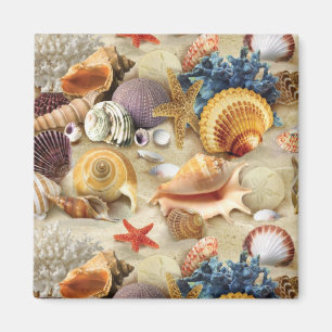 Sea shells on beach magnet