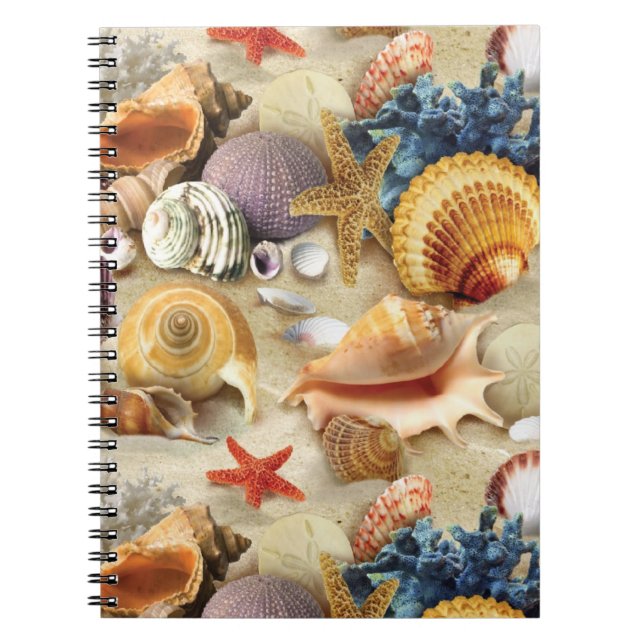 Sea shells on beach notebook (Front)