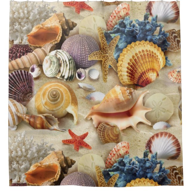Sea shells on beach shower curtain (Front)