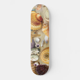Sea shells on beach skateboard