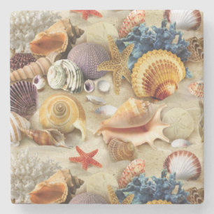 Sea shells on beach stone coaster