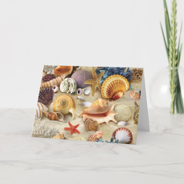 Sea shells on beach thank you card (Front)