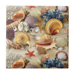 Sea shells on beach tile
