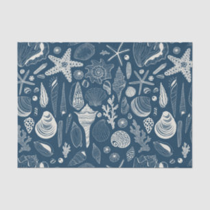 Sea shells on dark blue tissue paper
