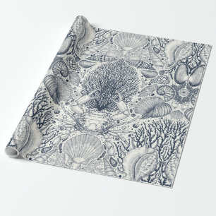 Sea shells on  dark blue wrapping paper