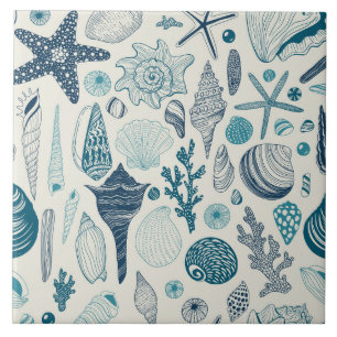 Sea shells on  off white tile