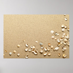 Sea Shells On Sand Poster