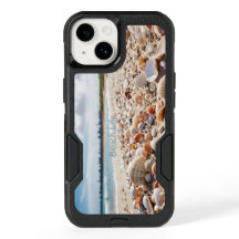 Sea Shells on the Beach