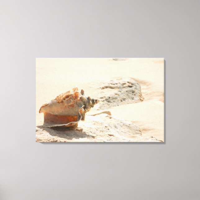 Sea Shells On The Beach Canvas Print (Front)