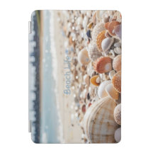 Sea Shells on the Beach